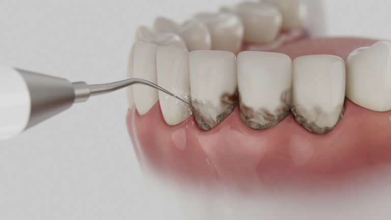 Reliable Dental contractor in Brandywine, MD by Dentist Open Now